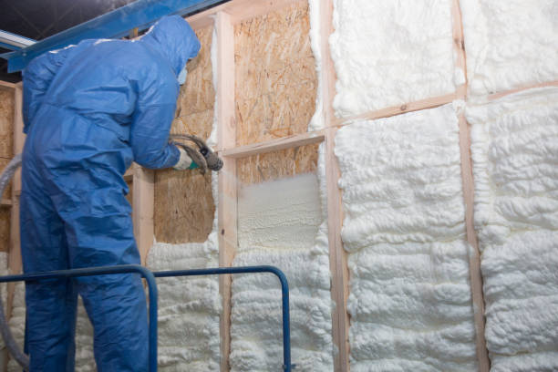 Best Insulation for New Construction  in Two Rivers, WI